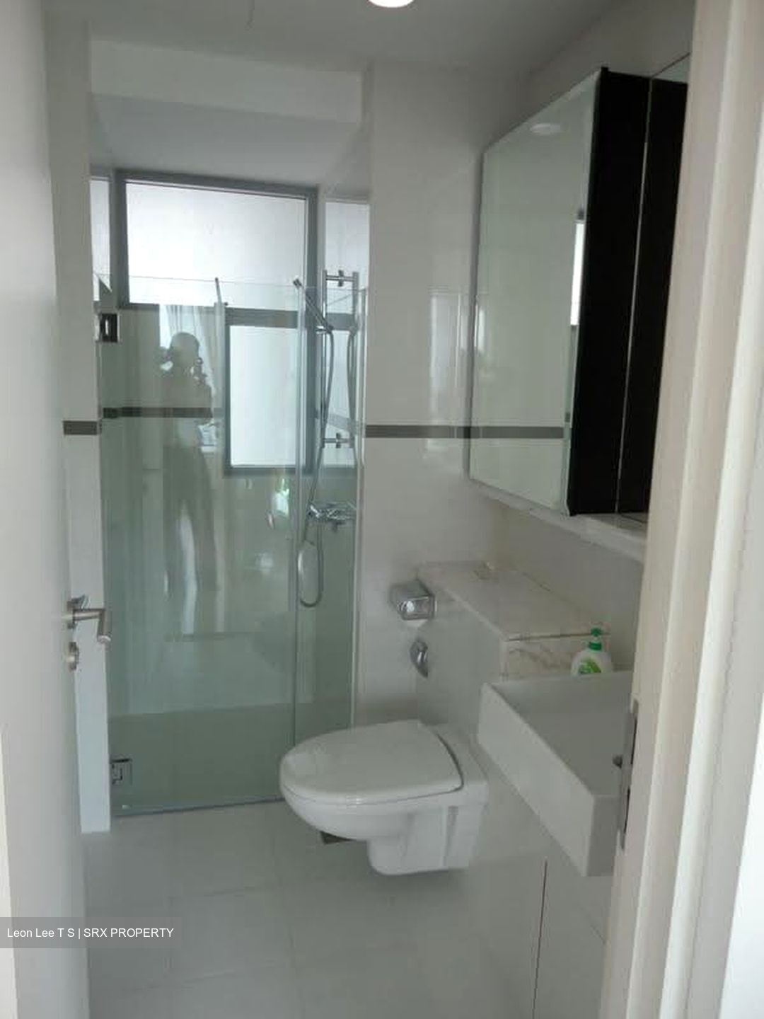 The Chuan (D19), Condominium #633228381